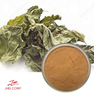 Mulberry Leaf Extract