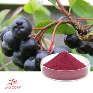 Aronia Extract