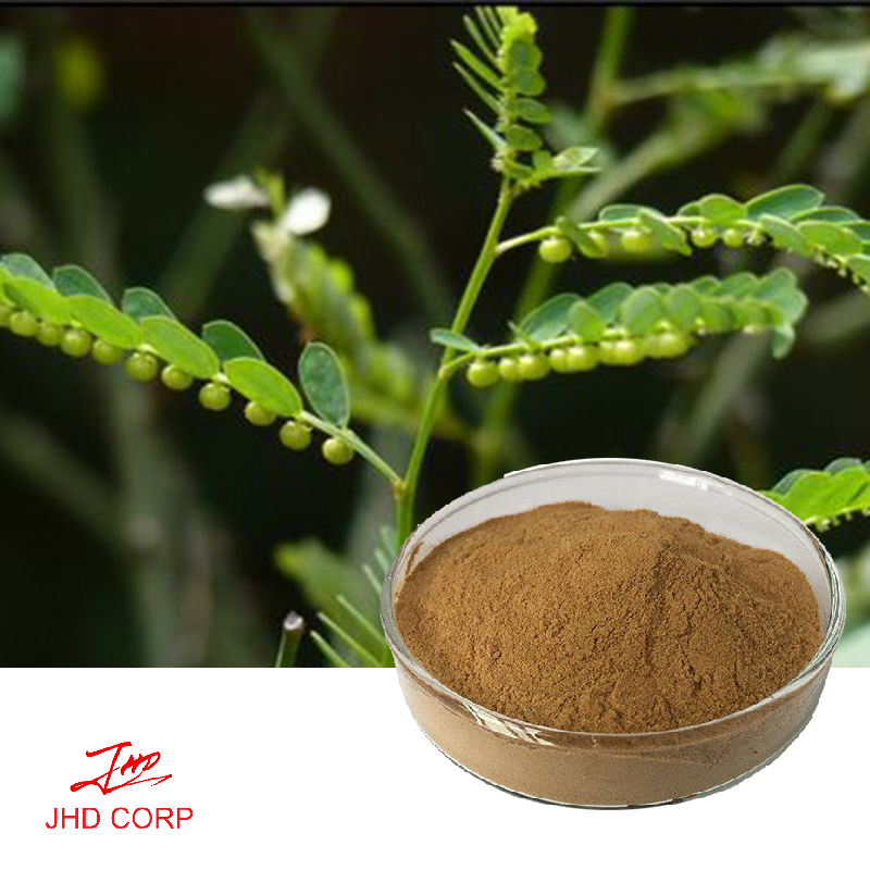 Phyllanthus Niruri Extract