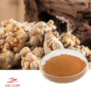 Panax Notoginseng Root Extract