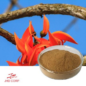 Butea Monosperma Extract