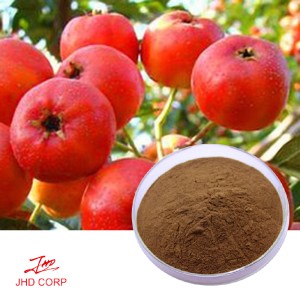 Hawthorn Berry Extract