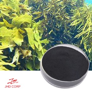 Desalted Seaweed Powder