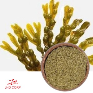 Organic Bladderwrack Powder