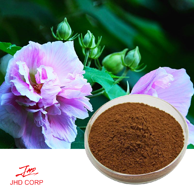 Hibiscus Extract