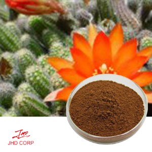 Hoodia Gordonii Extract