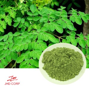 Moringa Leaf Extract