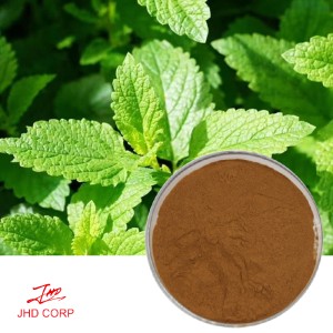 Peppermint Extract