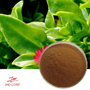 Andrographis Paniculata Extract