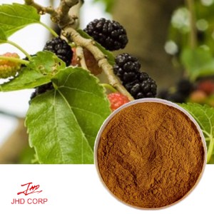 Mulberry Leaf Extract