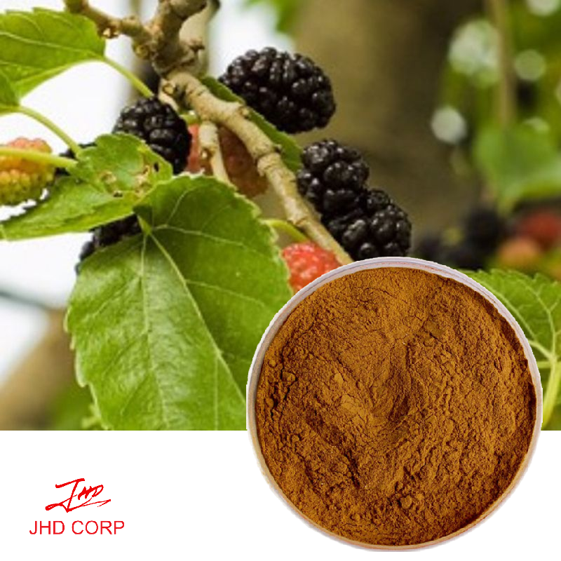 Mulberry Leaf Extract