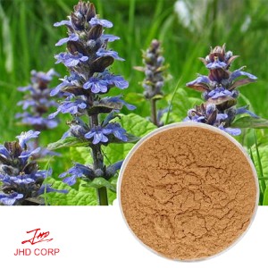 Ajuga Turkestanica Extract