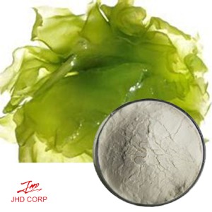 Marine Algae Oil Powder