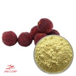 Bayberry Extract