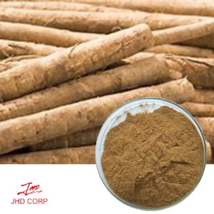 Burdock Root Extract