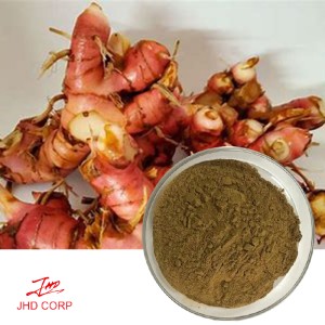 Alpinia Galanga Extract