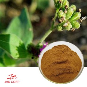 Boerhavia Diffusa Extract