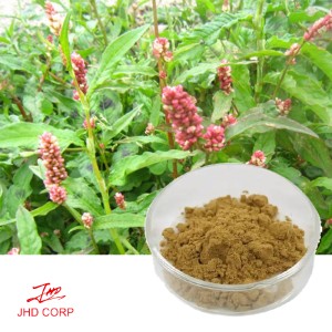 Polypodiodes Niponica Extract