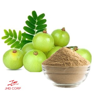 Organic Amla Fruit Powder