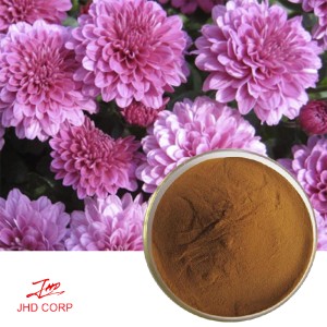 Purple Chrysanthemum Extract