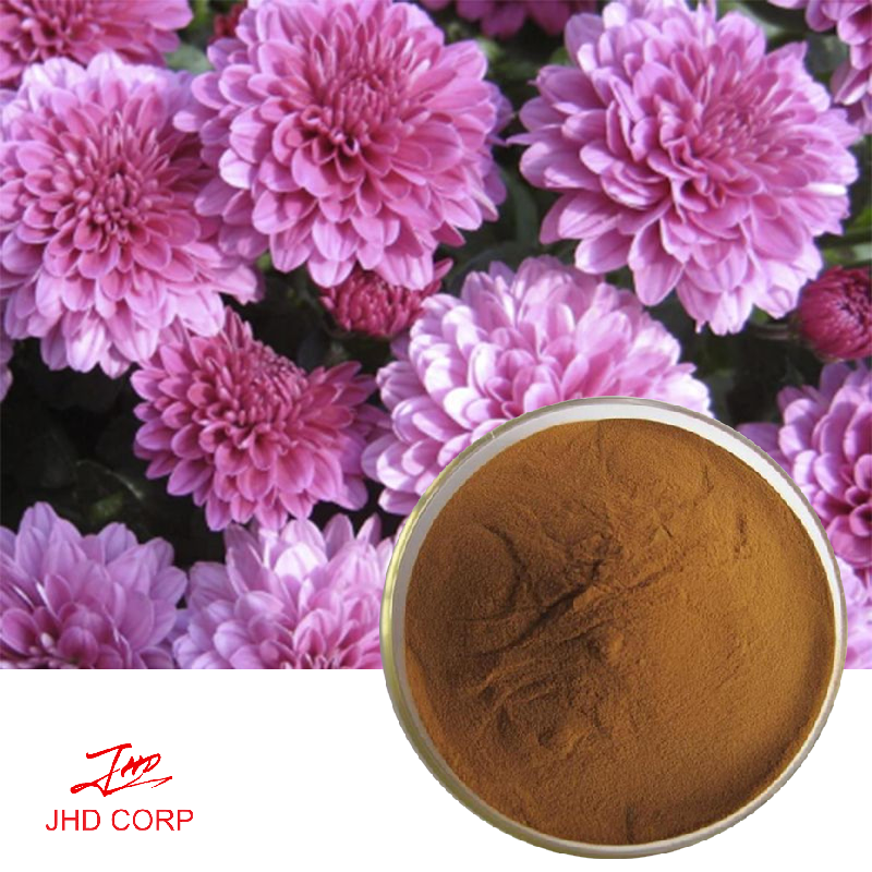 Purple Chrysanthemum Extract