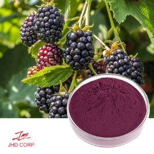 Blackberry Powder