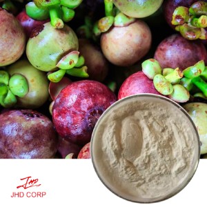 Mangosteen Powder