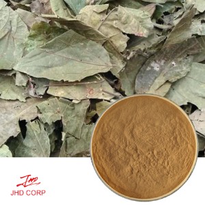 Buchu Leaf Extract