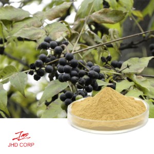 Phellodendron Extract