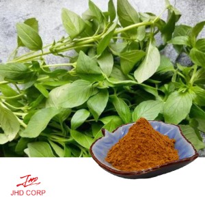 Herba Schizonepeta Extract