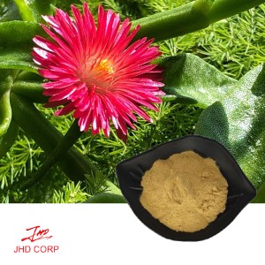 Andrographis Paniculata Extract