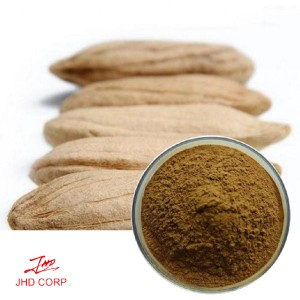 African Mango Seeds Extract