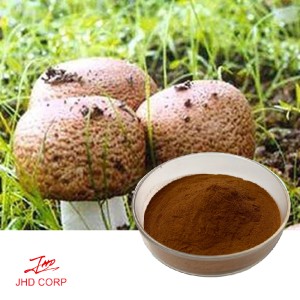 Agaricus Blazei Extract