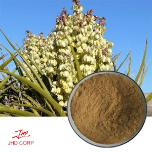 Yucca Extract