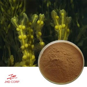 Brown Seaweed Extract