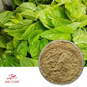 Mulberry Leaf Extract