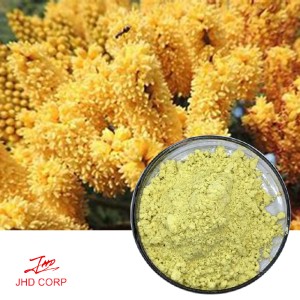 Dimorphandra Mollis Extract Quercetin Dihydrate