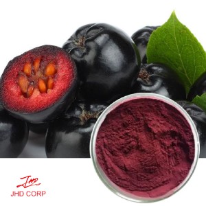 Aronia Chokeberry Extract