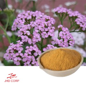 Yarrow Extract