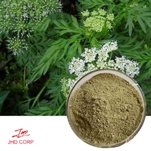 Cnidium Seed Powder