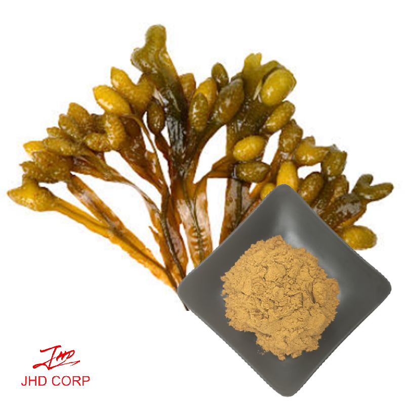 Fucus Vesiculosis Extract