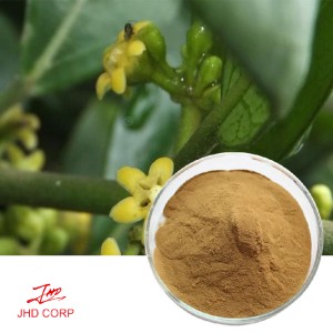 Gymnema Sylvestre Extract