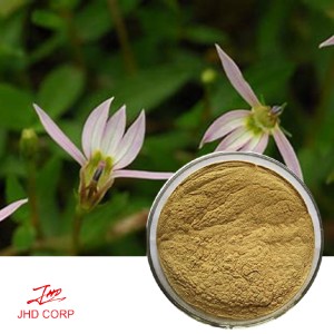 Lobelia Powder