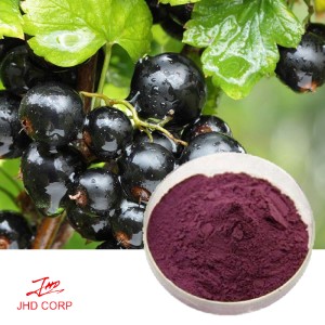 Black Currant Extract