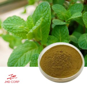 Mentha Spicata Linn Extract