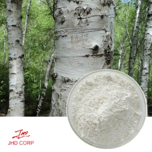 Birch Bark Extract