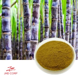 Sugar Cane Extract