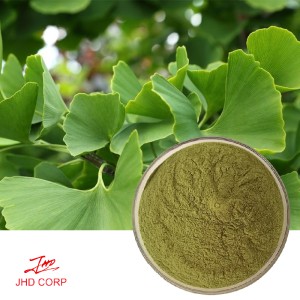 Organic Ginkgo Powder