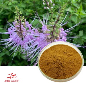 Catnip Extract