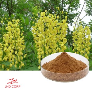 Cassia Nomame Extract